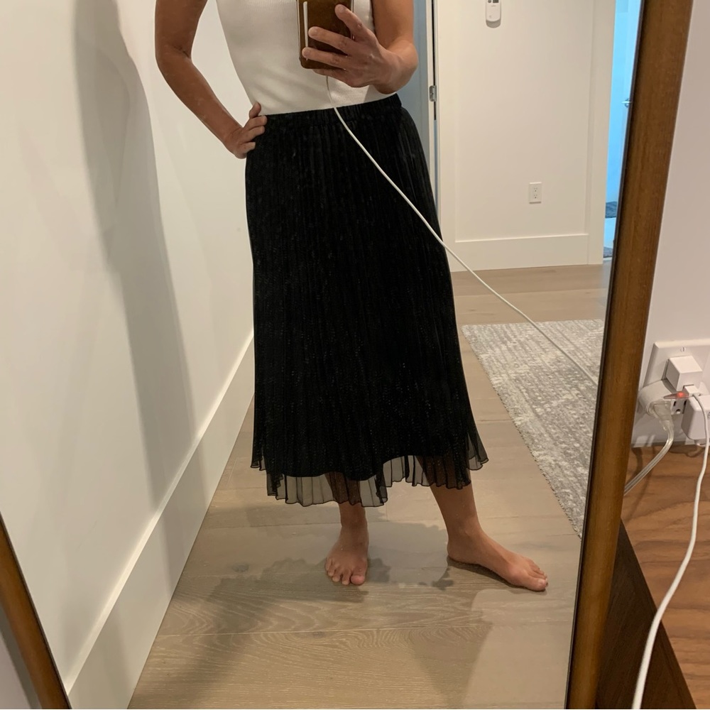 Chiffon pleated skirt